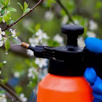 ASESORÍA EN MANEJO INTEGRADO DE PLAGAS FUMIPLAG - NEBULIZACIÓN