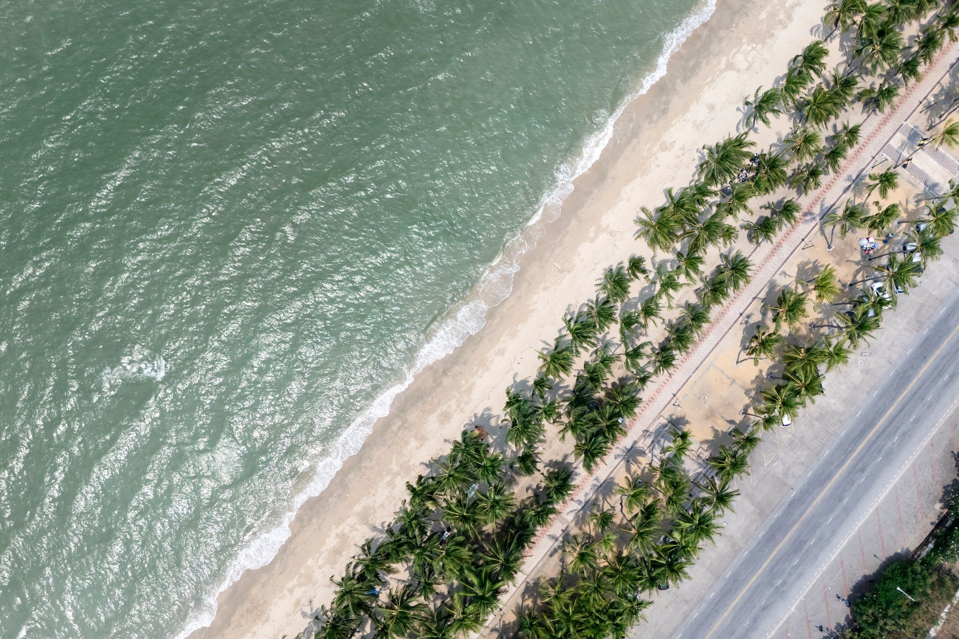 ภาพถ่ายทางอากาศของชายหาดที่มีคลื่น ทราย ต้นปาล์ม และถนน