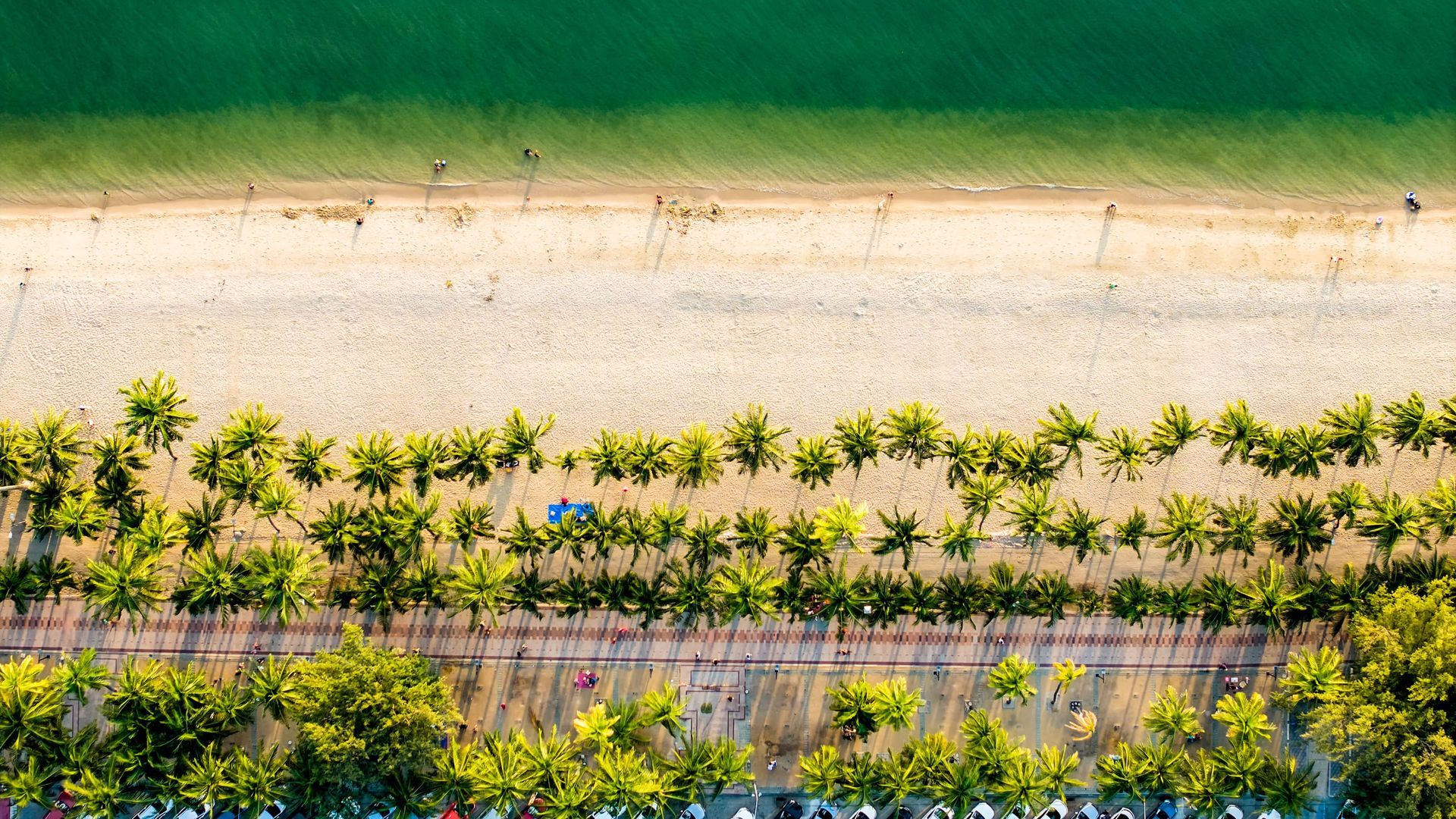 ภาพถ่ายทางอากาศของชายหาดที่มีน้ำทะเลสีเขียว ทราย ต้นปาล์ม และทางเดินที่เรียงรายไปด้วยต้นไม้