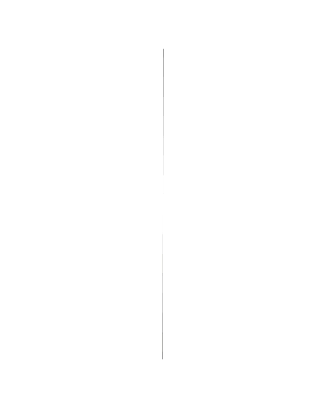 Thin vertical gray line on a white background.