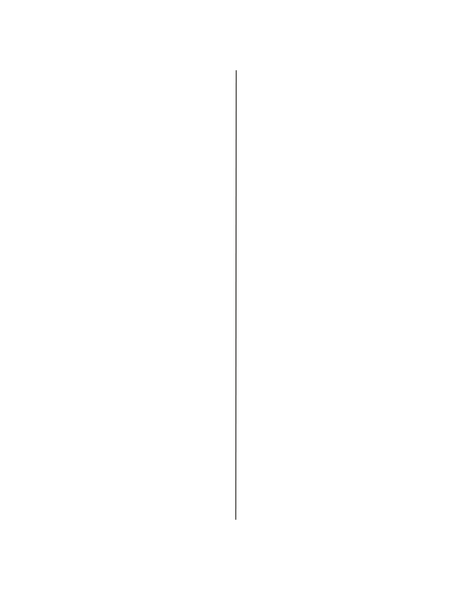 Thin vertical gray line on a white background.