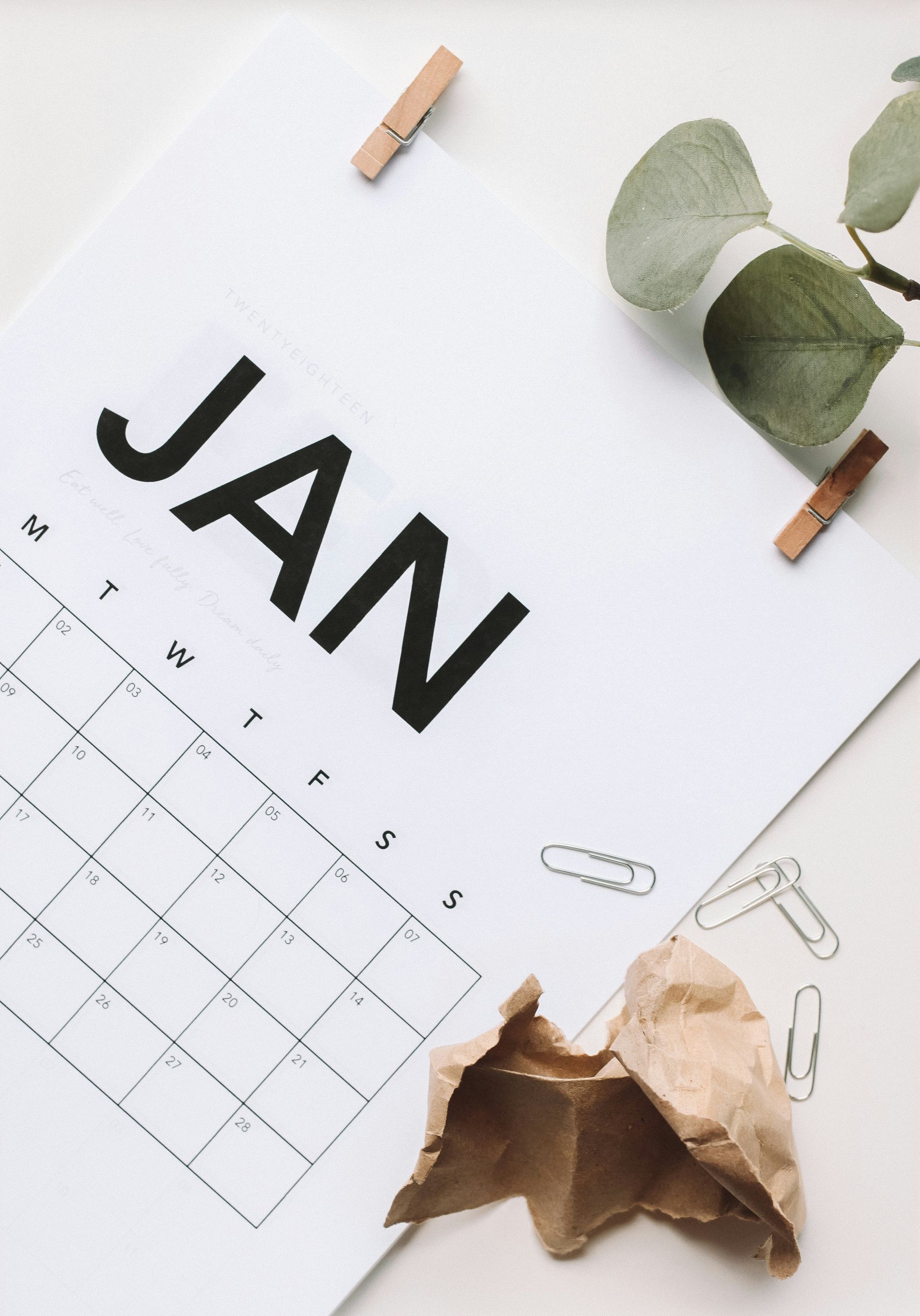 January calendar page with green leaves and a dried flower on a white background