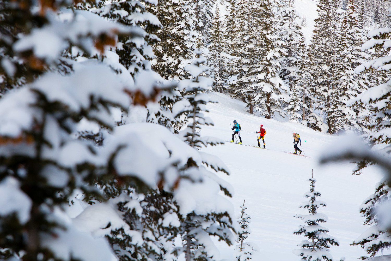 Powderhorn Ski Resort