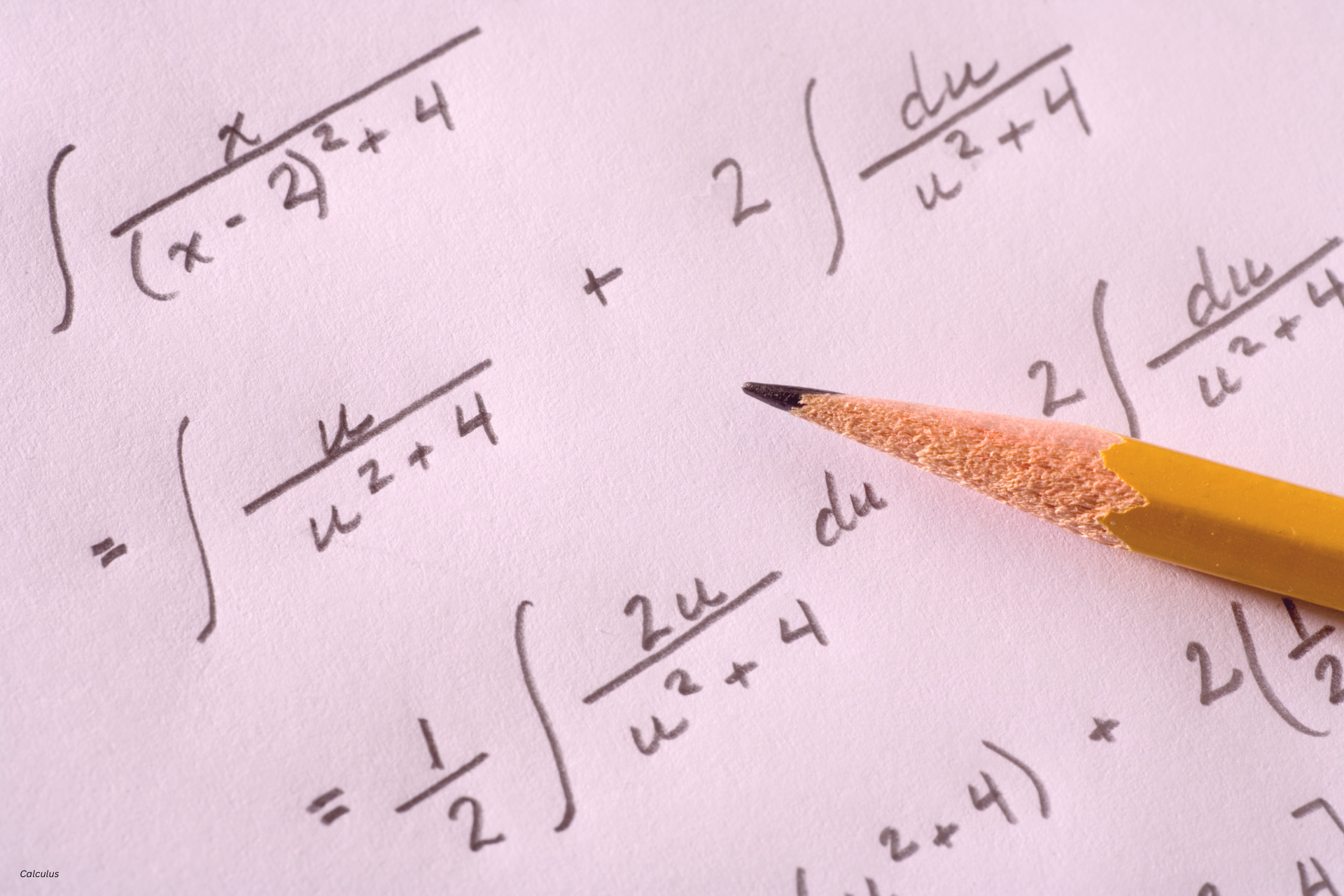 Calculus tutor