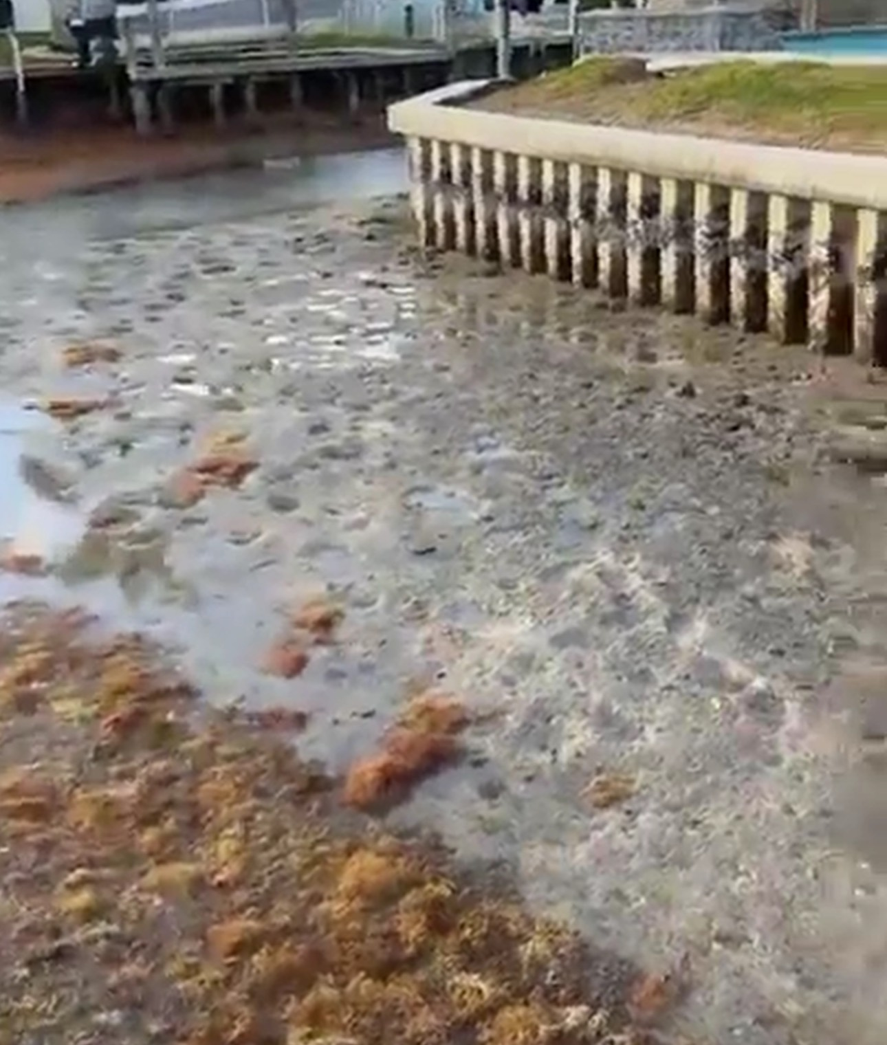 Low tide