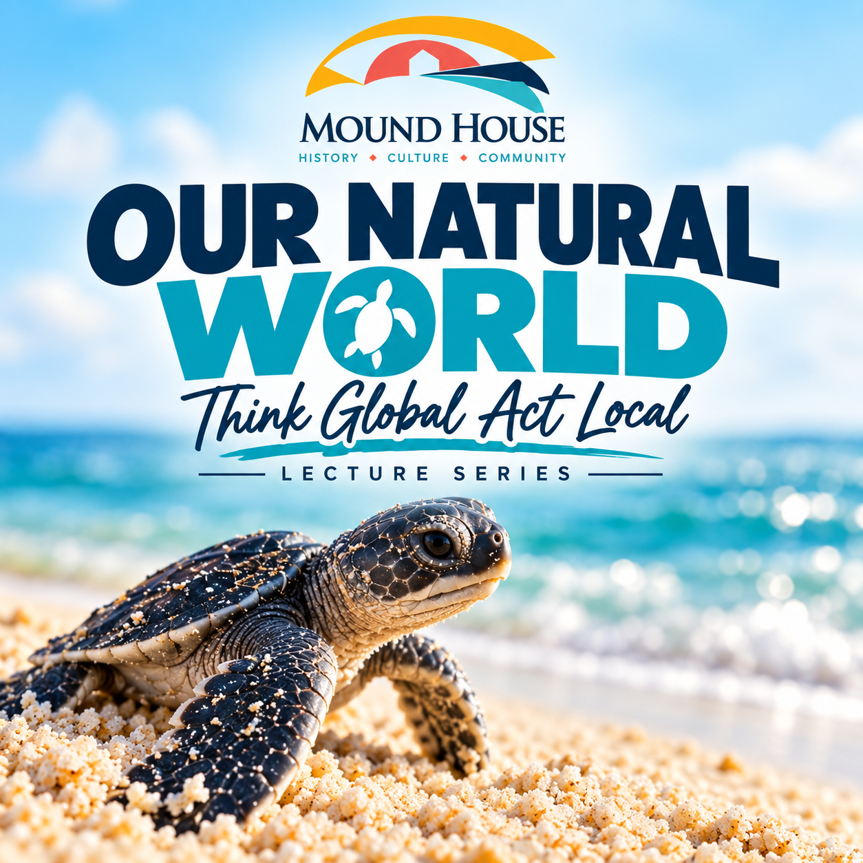 Sea Turtle Nesting Season