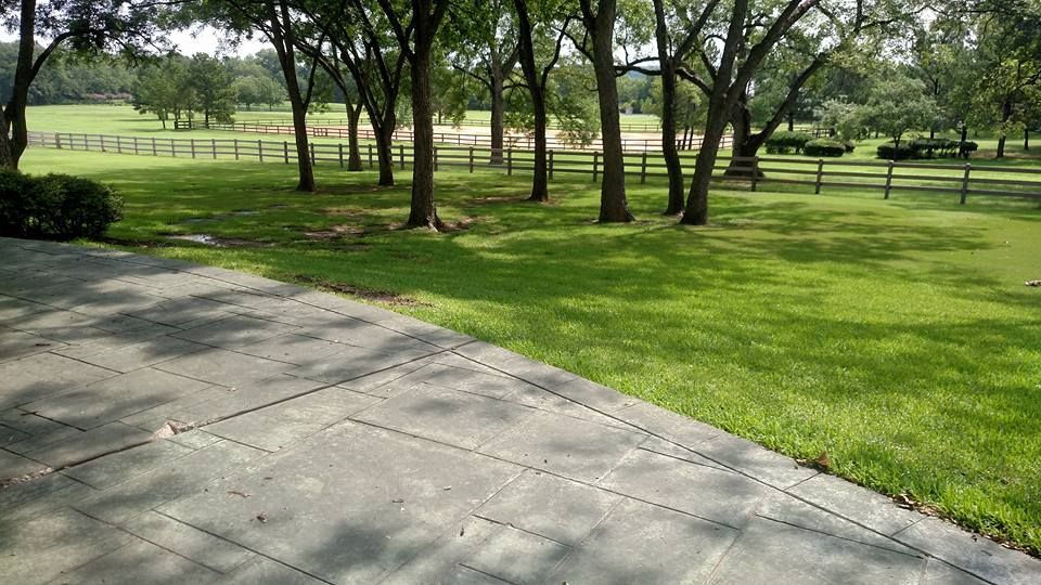 Tree-lined park with concrete path, green grass, and wooden fence in the background