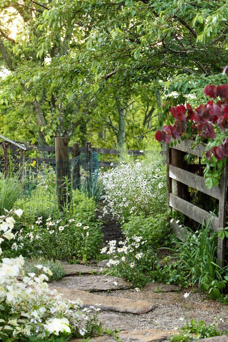 Garden path with white flowers, greenery, and a wooden fence under leafy trees
