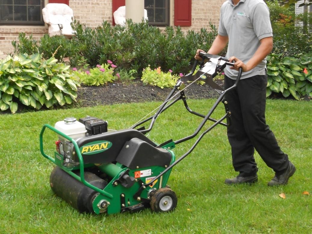 Person pushing a green lawn aerator on a grassy yard near a garden border