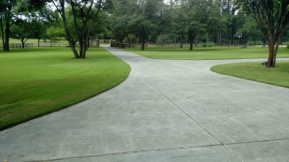Curving concrete path through a green park with trees and grass