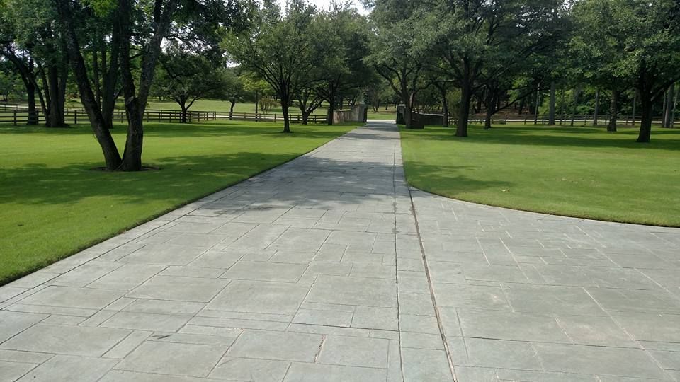 Paved park path stretching through a green lawn with trees on both sides
