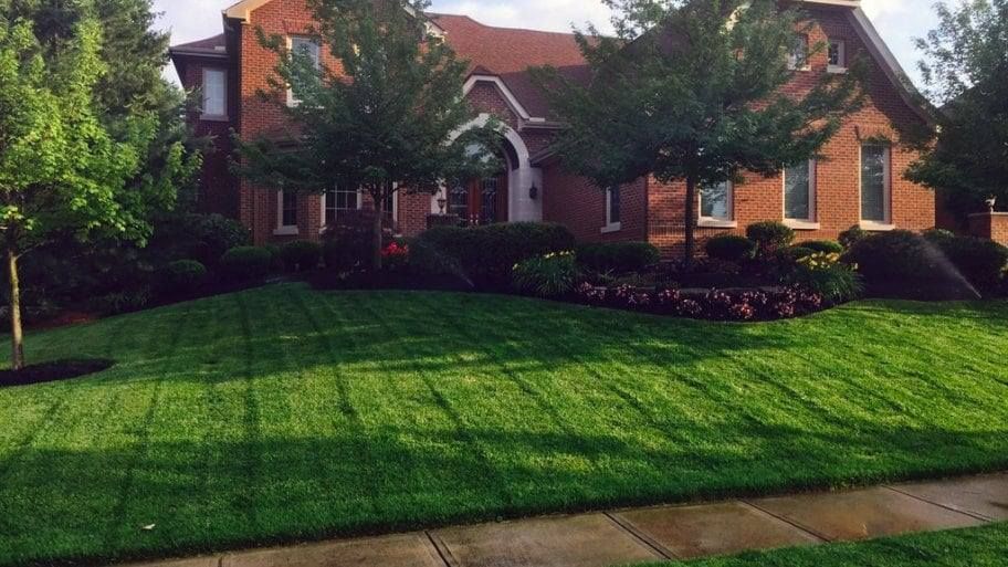 Brick suburban house with a manicured green lawn and trees in front