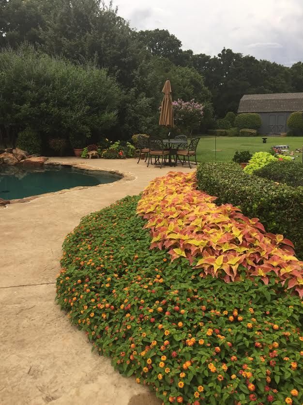 Curved garden path beside a pool, with bright orange and green flower beds and lush trees in the background
