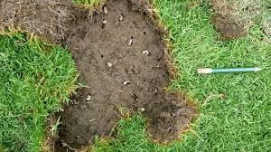 Freshly dug patch of soil in grass with a pencil lying beside it