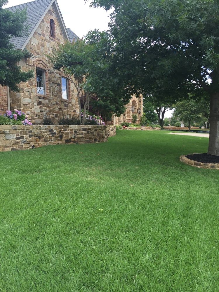 Person emptying grass clippings from a mower bag onto a lawn beside a push mower