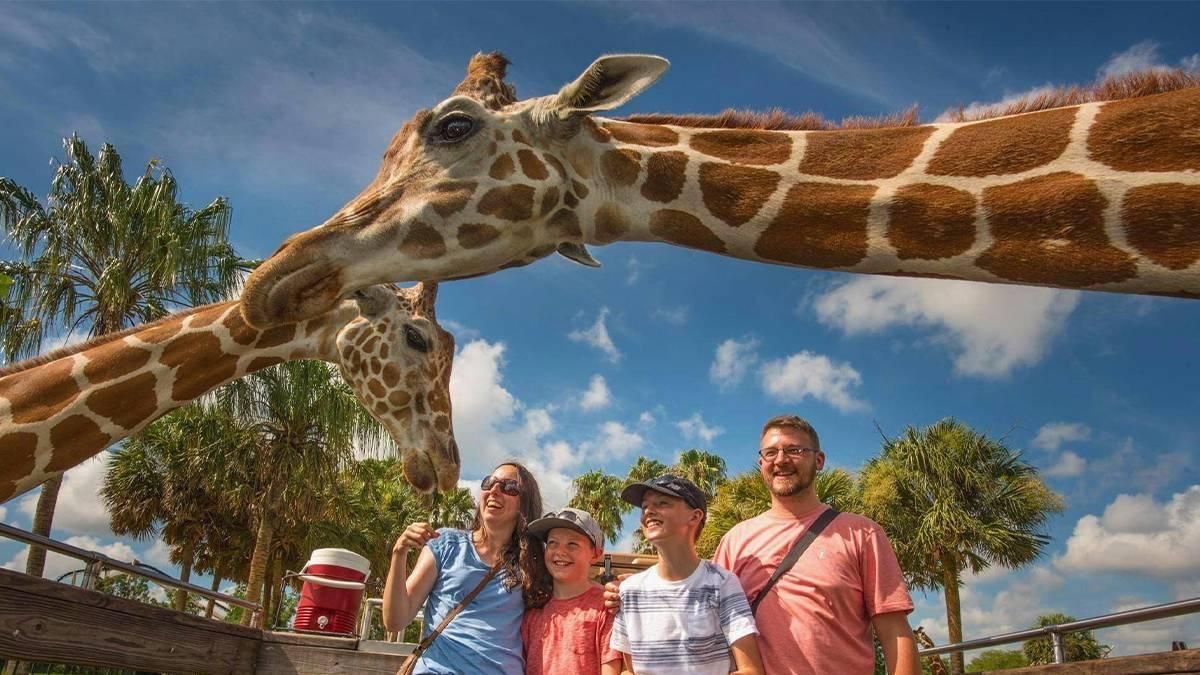 Giraffe reaches over three smiling visitors at a zoo on a sunny day.