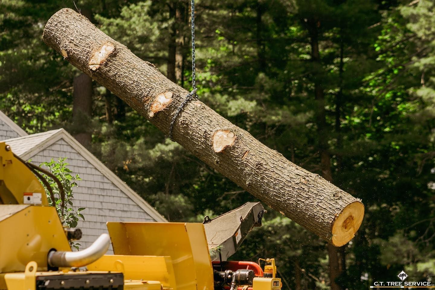 A large tree log being lifted by a machine, likely for wood chipping, against a backdrop of trees.