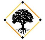 Tree silhouette in a diamond-shaped frame with an orange gradient and black squares.