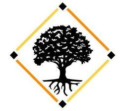 Tree silhouette in a diamond-shaped frame with an orange gradient and black squares.