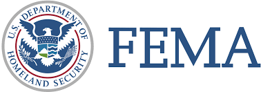 The logo for the department of homeland security fema