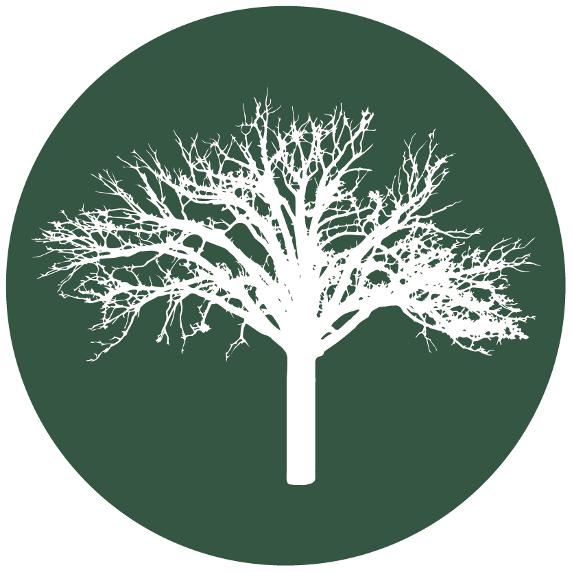 Circle Filled Green Logo for Big Tree Construction | Book Your Custom Home Consultation in Mid-MO.