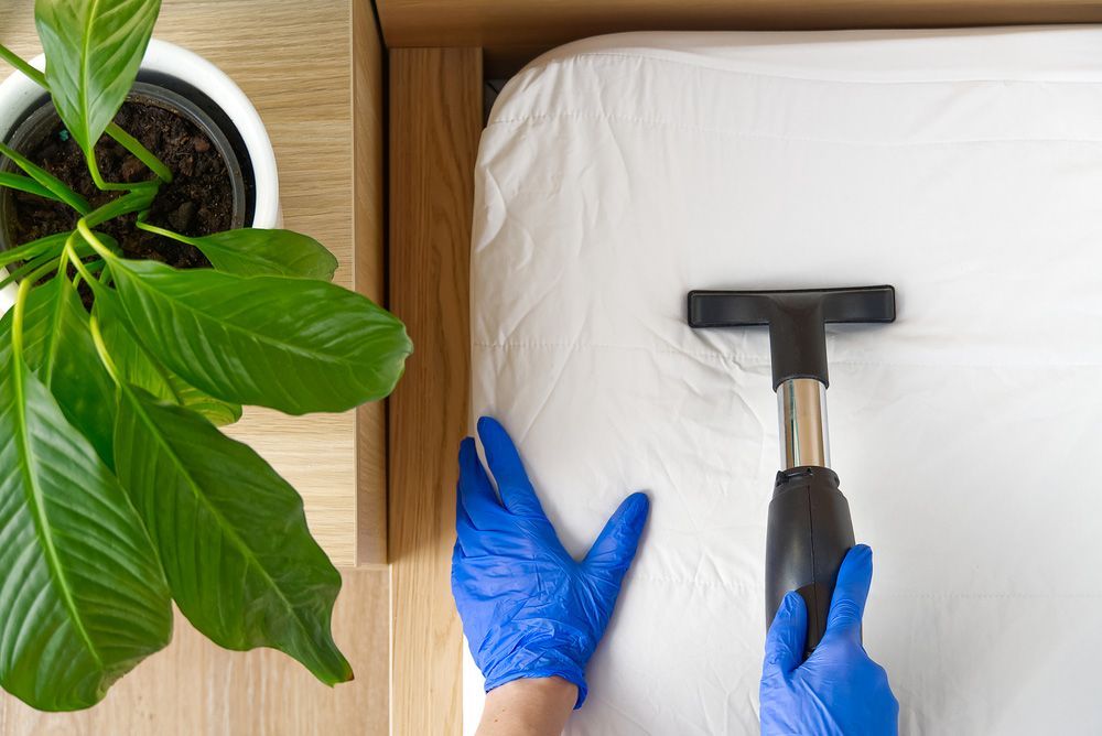 Hands in Blue Gloves Vacuuming a White Bed Sheet — FNQ Cleaning Services in Trinity Beach, QLD