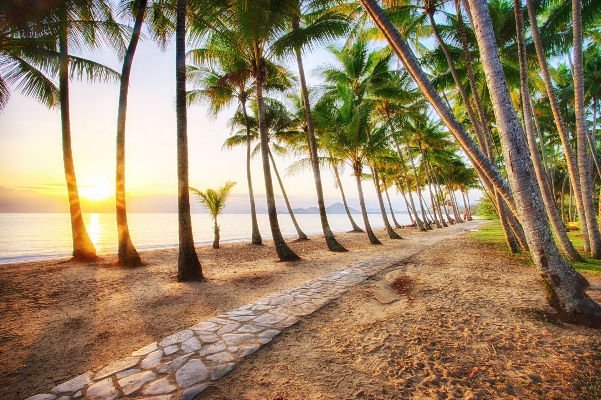 Sandy Beach Path Lined With Palm Trees at Sunrise — FNQ Cleaning Services in Palm Cove, QLD