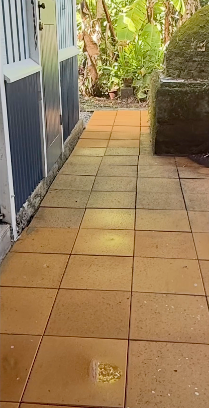 A Person is Using a High Pressure Washer to Clean a Driveway — FNQ Cleaning Services in Mooroobool, QLD