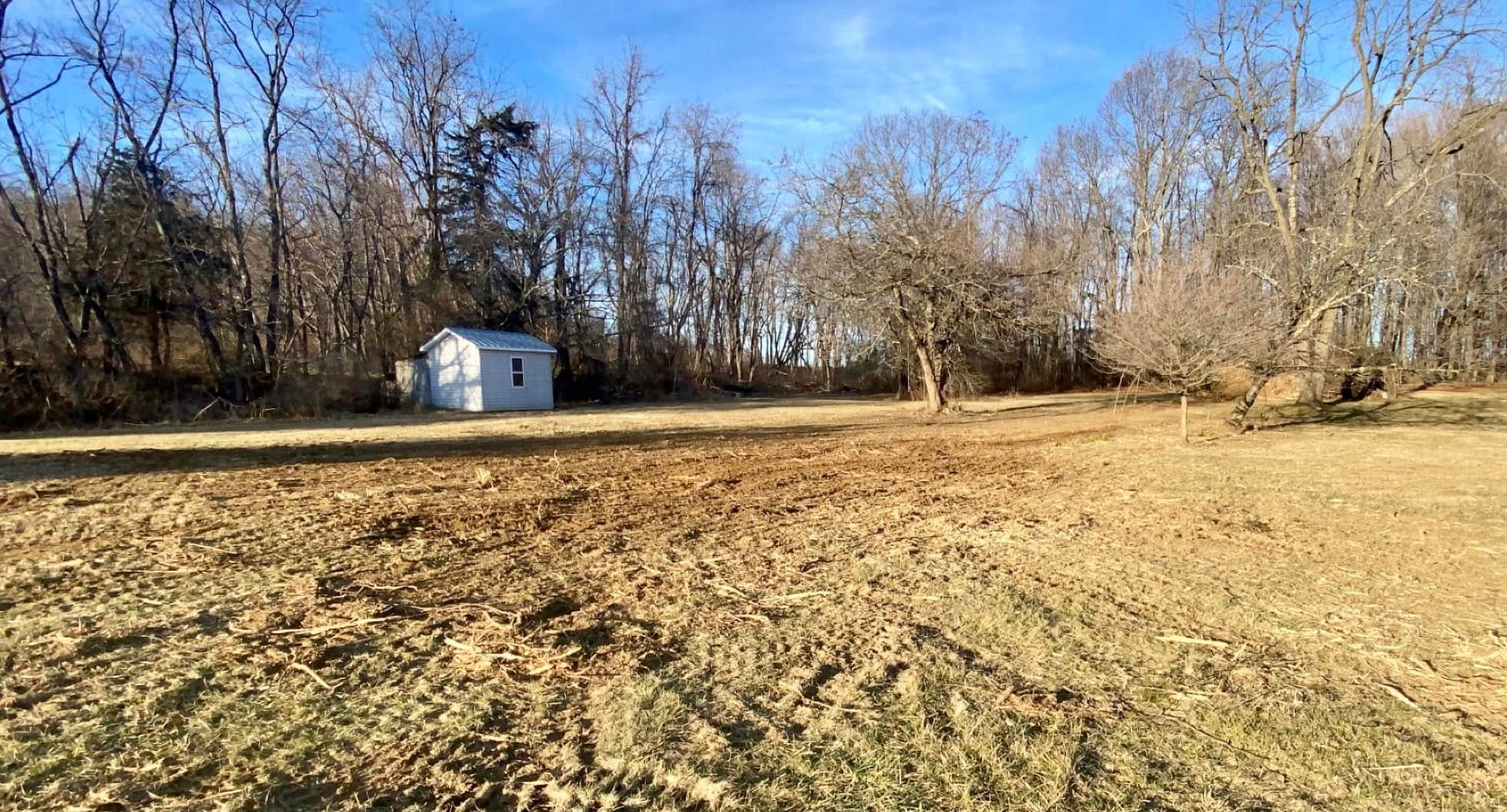 Cleared area, useful space ready to be seeded and reclaimed.