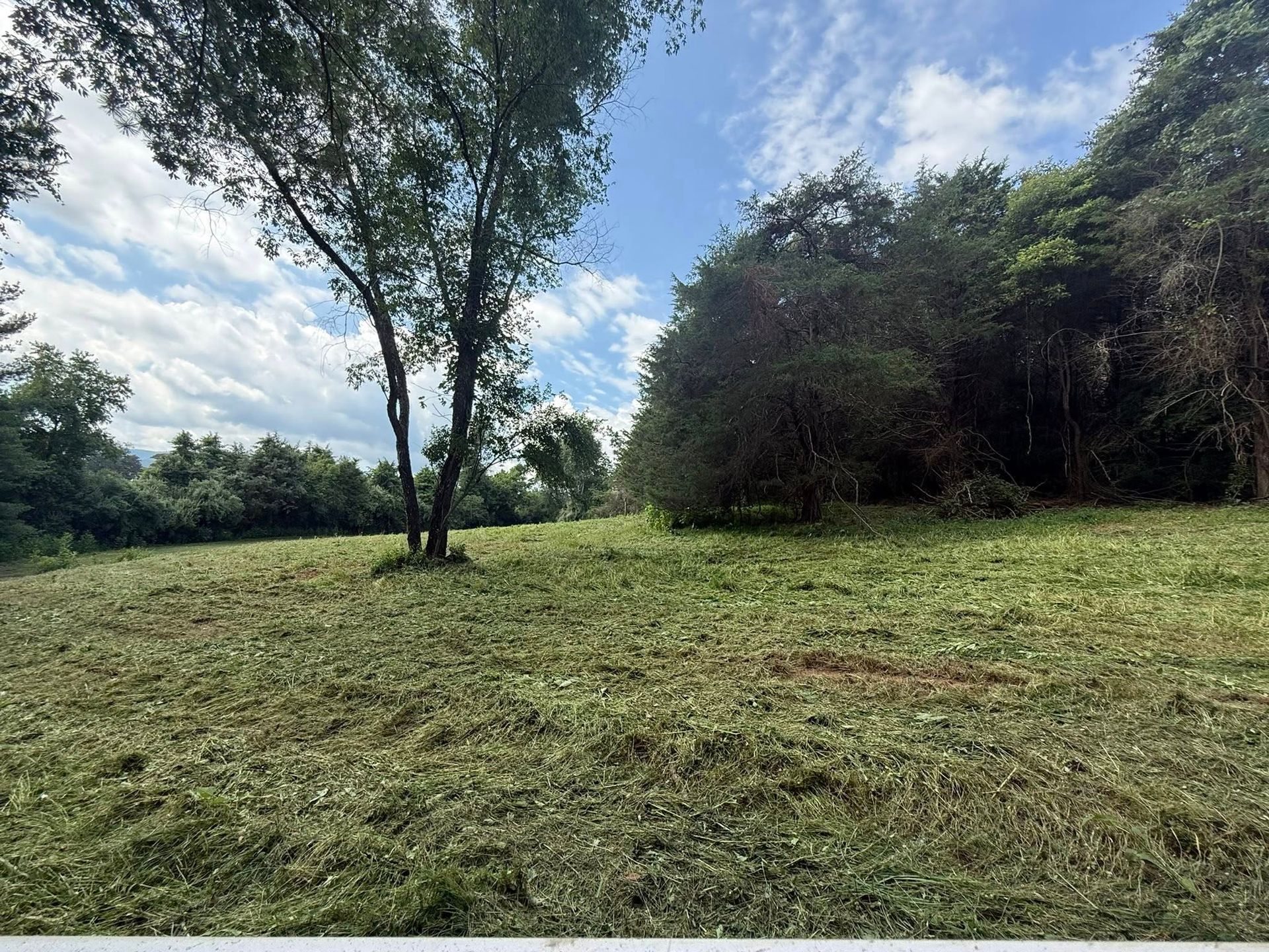 Clean field, free of weeds and debris. Tamed and mowed.