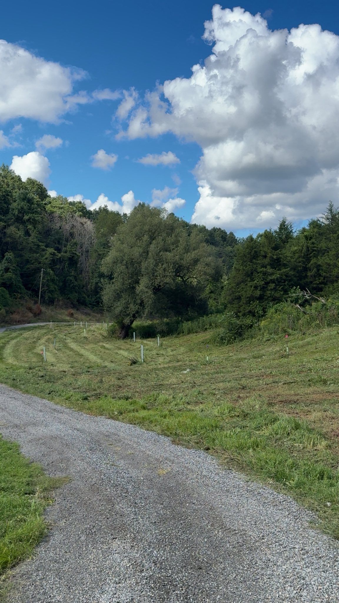Gravel path through grassy field with trees under a cloudy blue sky.