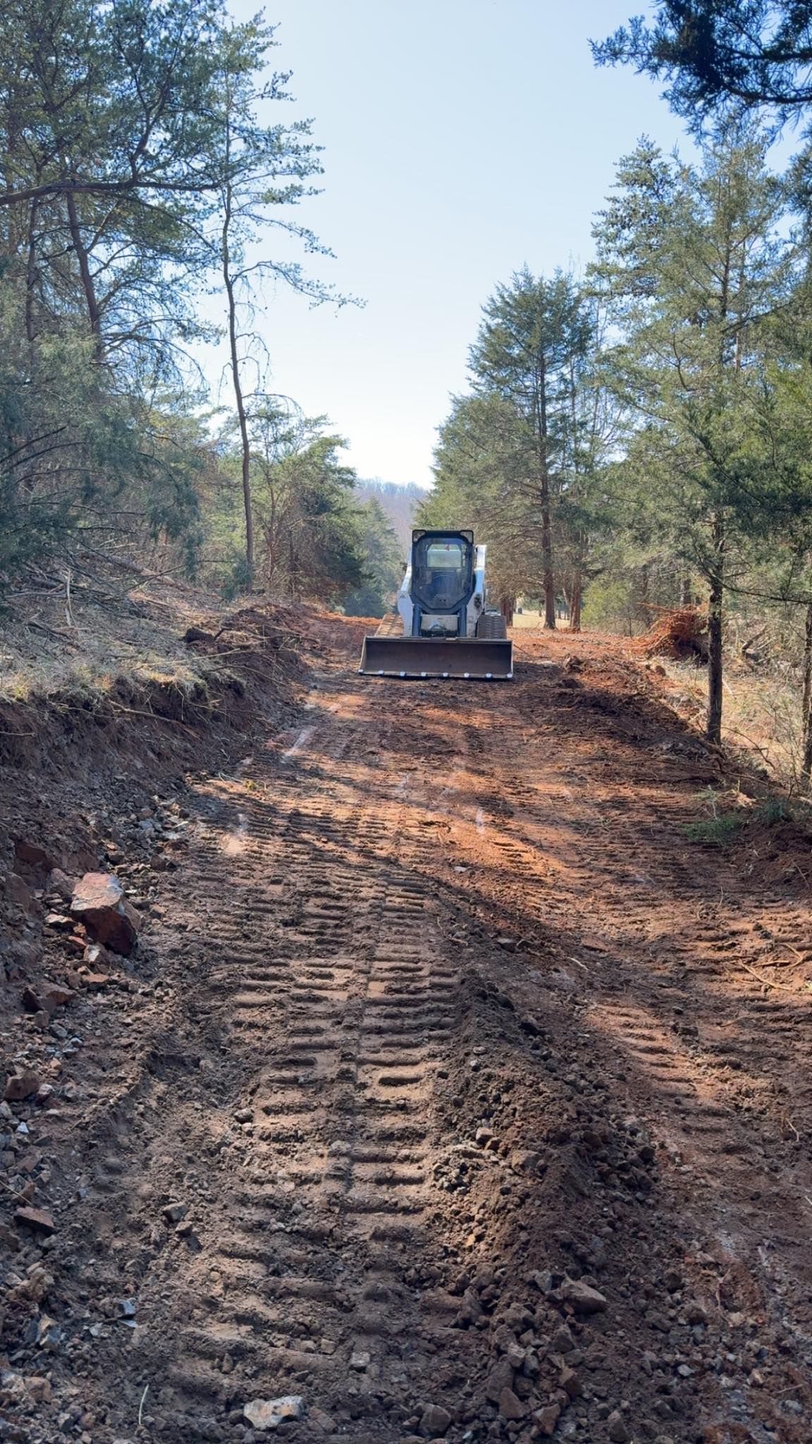 A bulldozer clears a dirt path through a wooded area under a bright sky.