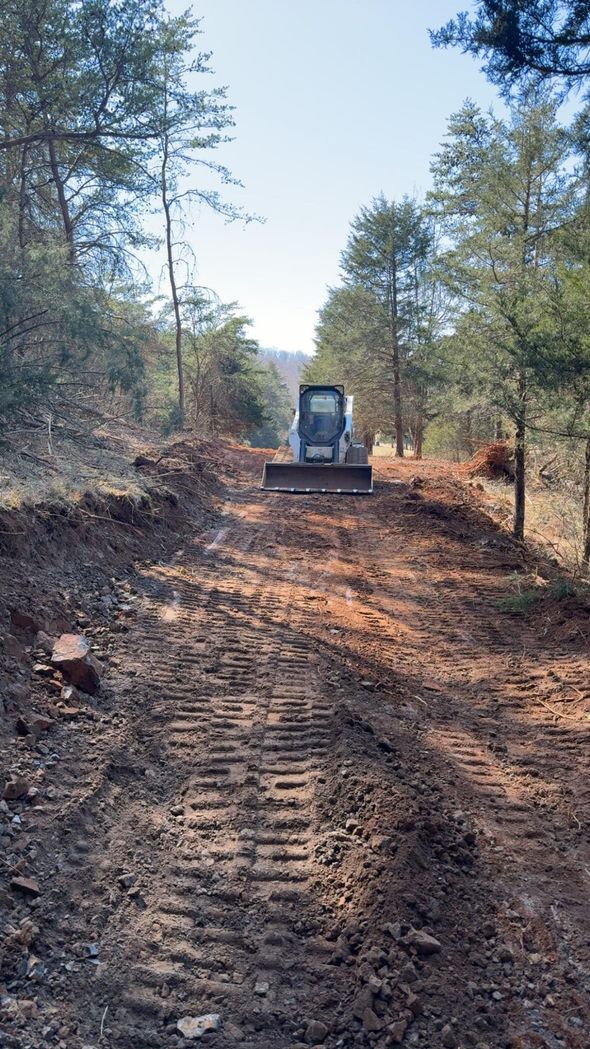 A bulldozer clears a dirt path through a wooded area under a bright sky.
