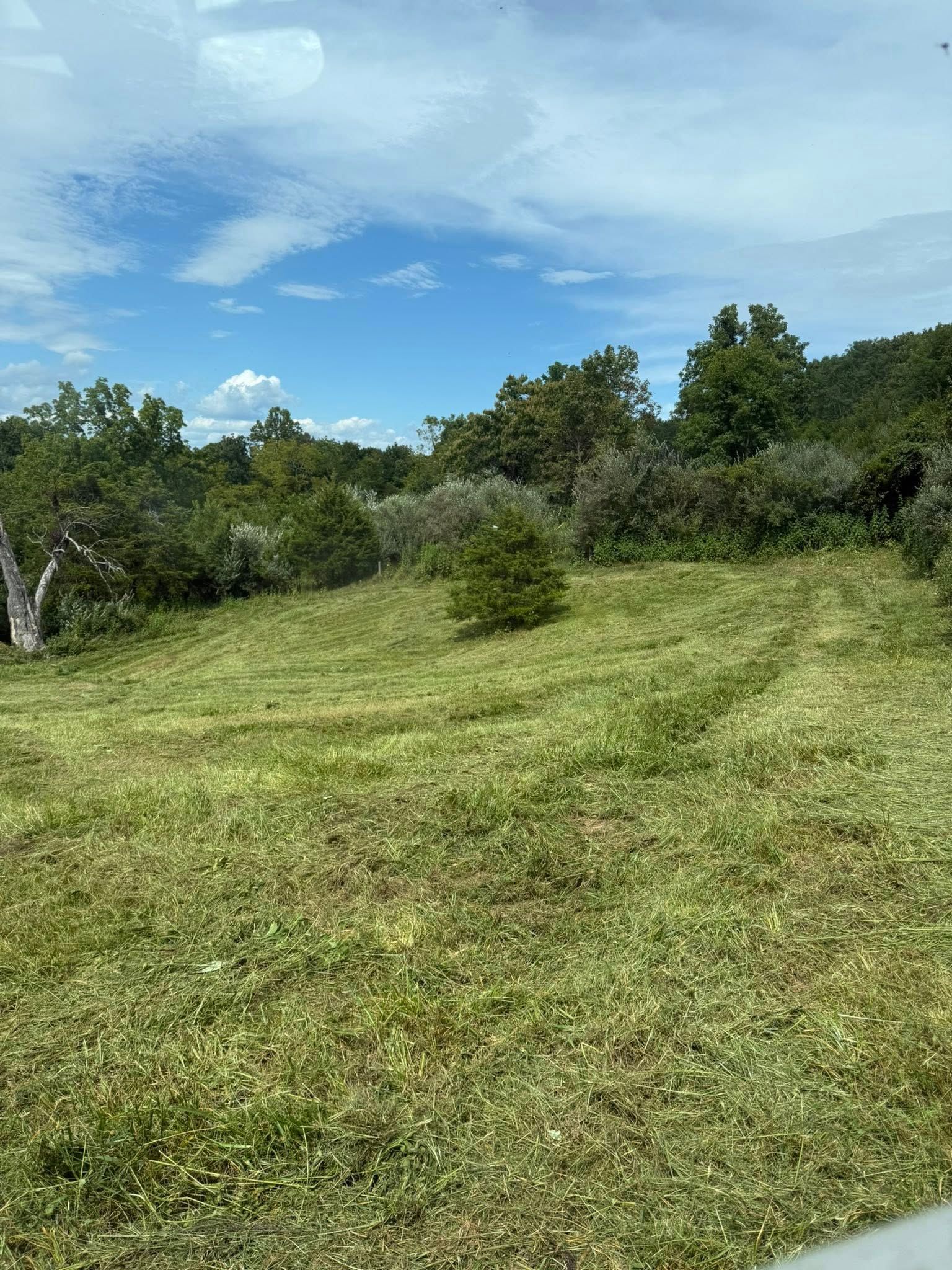 Mown grassy field with trees in the background under a partly cloudy blue sky.