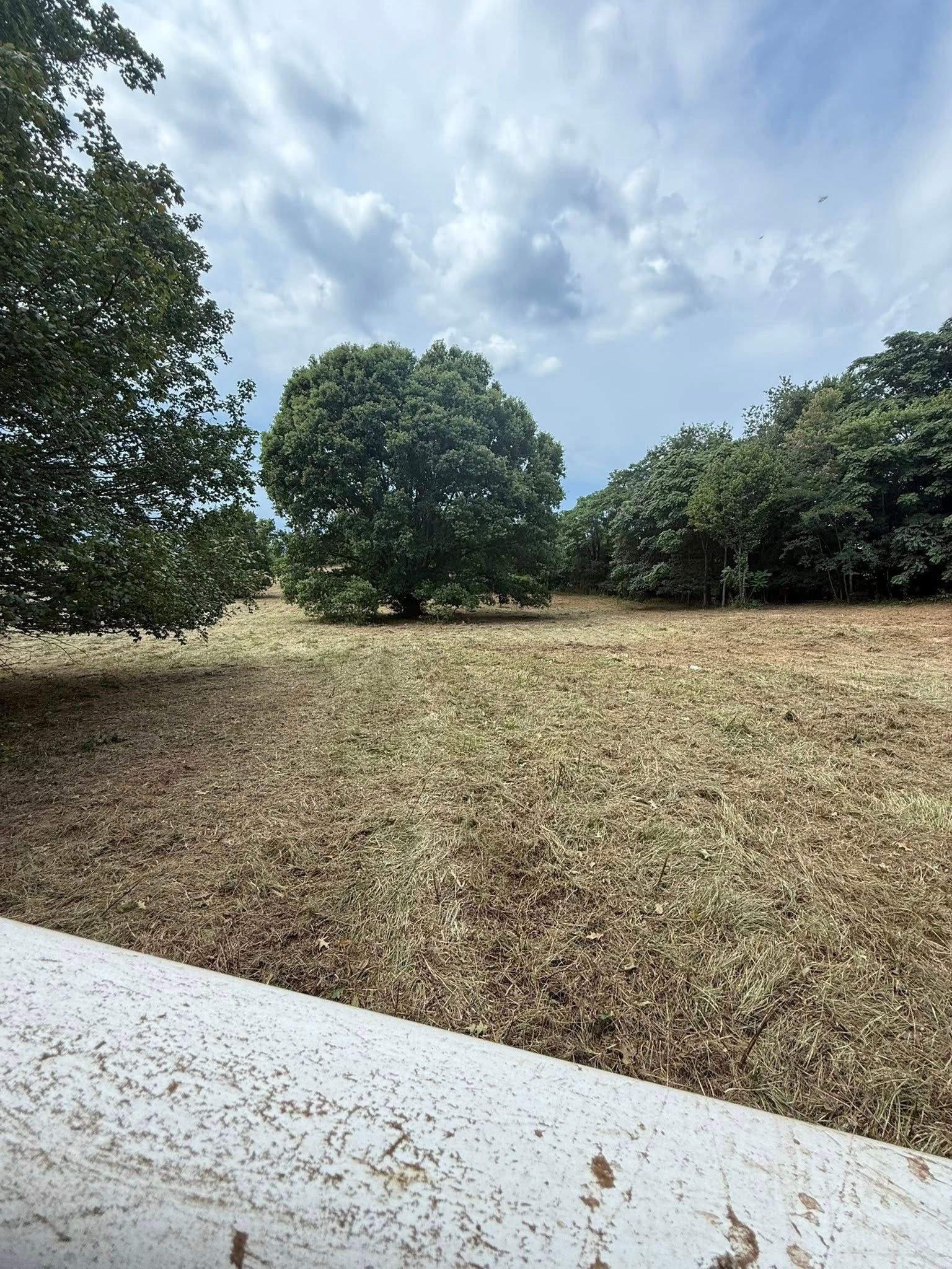 Lush green trees surrounding a field of dry grass under a cloudy sky. White railing in the foreground.