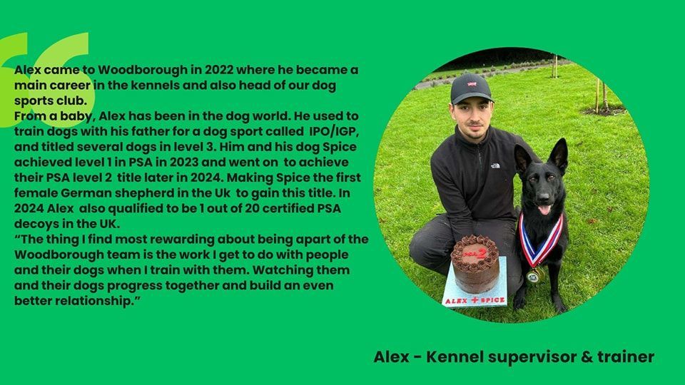 Alex dog trainer near Bath, Bristol, PSA, Mondio decoy