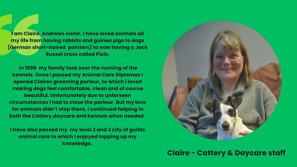 Staff at Woodborough Kennels near Bath