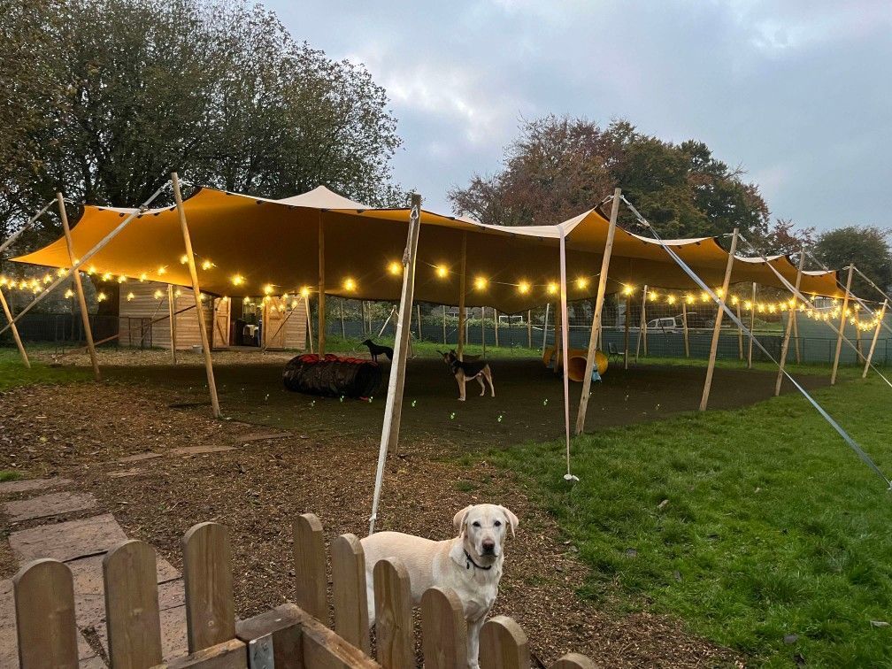 Daycare day care near Bath Frome