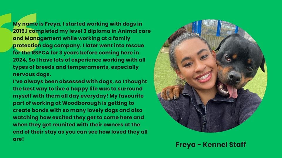 Woodborough kennel staff dog training near Bath