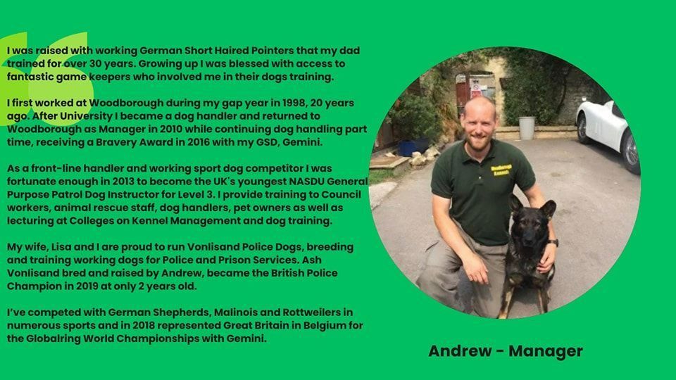 dog training nr Bath Frome Radstock Midsomer Norton