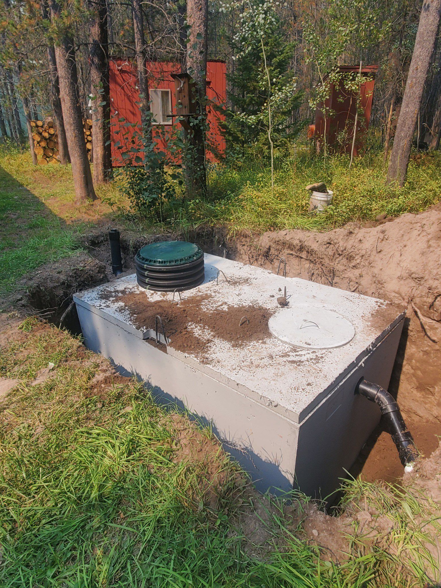 A partially buried concrete septic tank with a black pipe and riser lids, set in a wooded area with a small red shed.