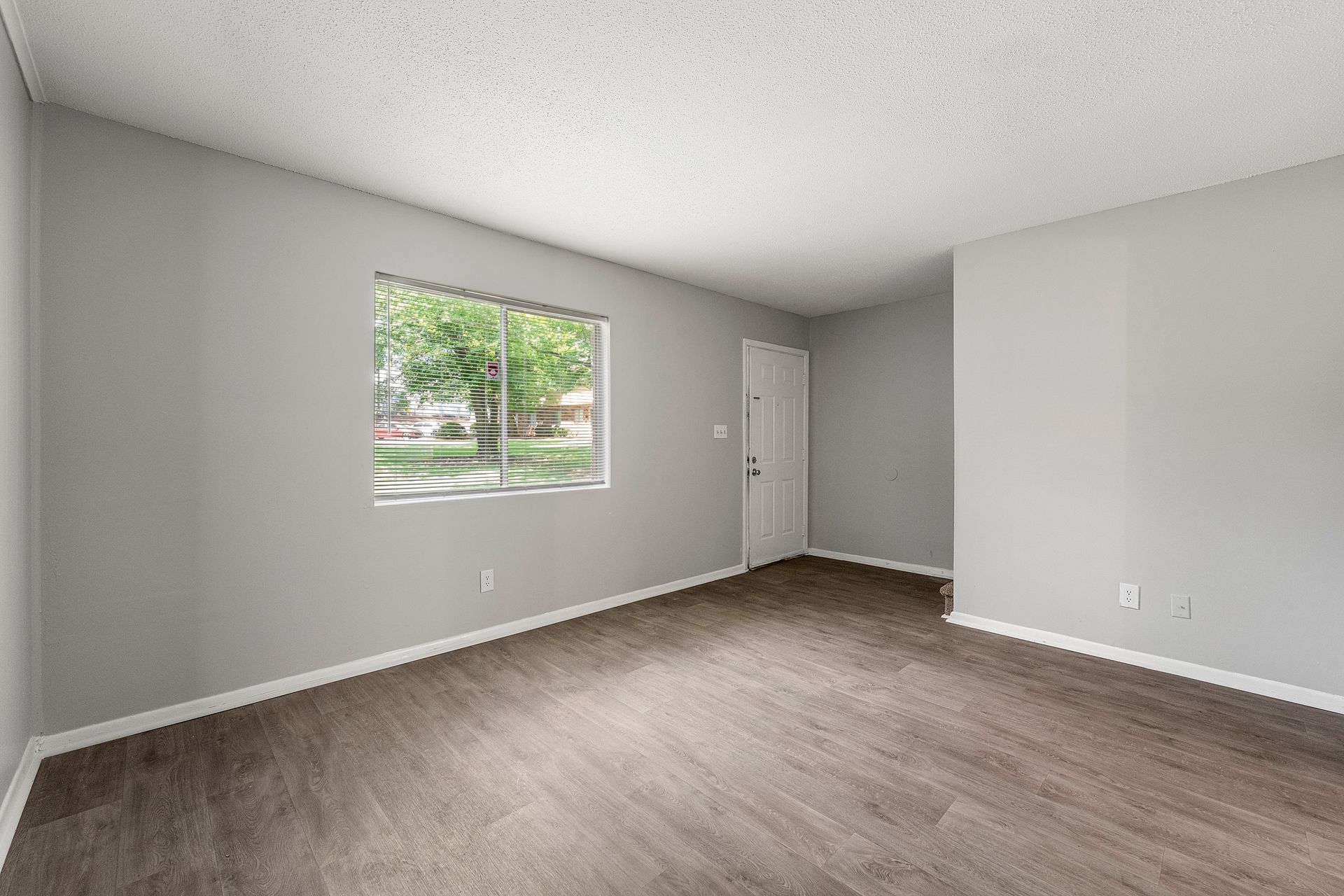 Empty gray bedroom with wood flooring, a window, and a closed white door.
