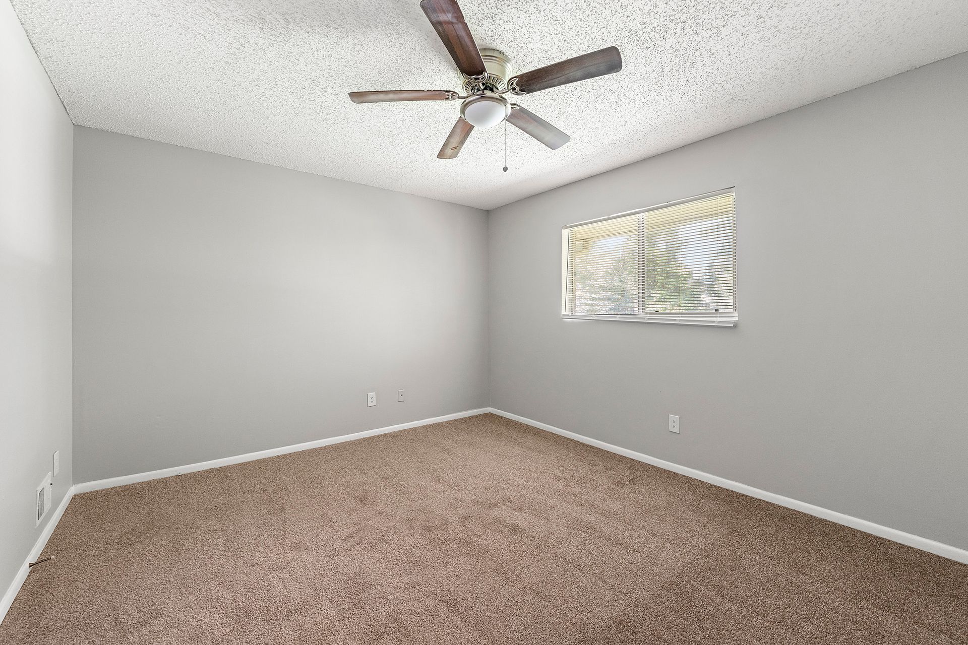 Empty carpeted bedroom with gray walls, a ceiling fan, and a small window with blinds.