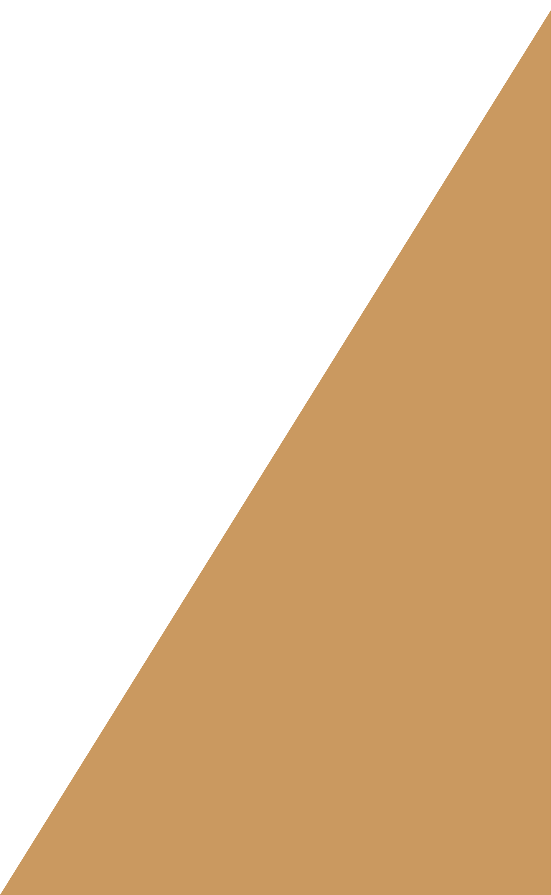 A brown and white triangle on a white background.