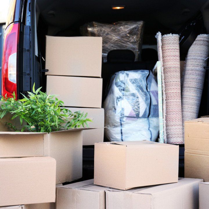 A packed vehicle trunk filled with cardboard boxes, rolled rugs, a potted plant, and other packed household items.