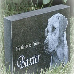Memorial stone with engraved dog portrait and the words “My Beloved Friend Baxter”