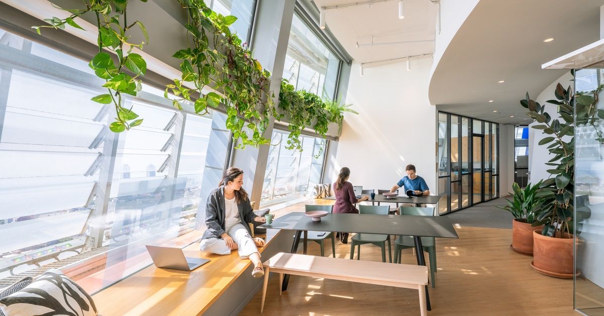 Three people are sitting in an area with a lot of greenery and natural light filtering through windows.