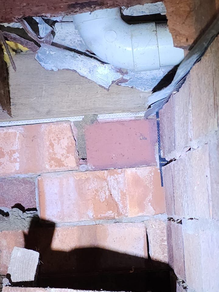 pest control inspection — Pest Control in Sanctuary Point, NSW