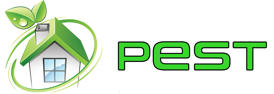 Regional Pest Services: Effective Pest Control on the South Coast Regional Pest Services: Effective Pest Control on the South Coast