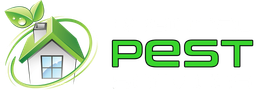 Regional Pest Services: Effective Pest Control on the South Coast Regional Pest Services: Effective Pest Control on the South Coast
